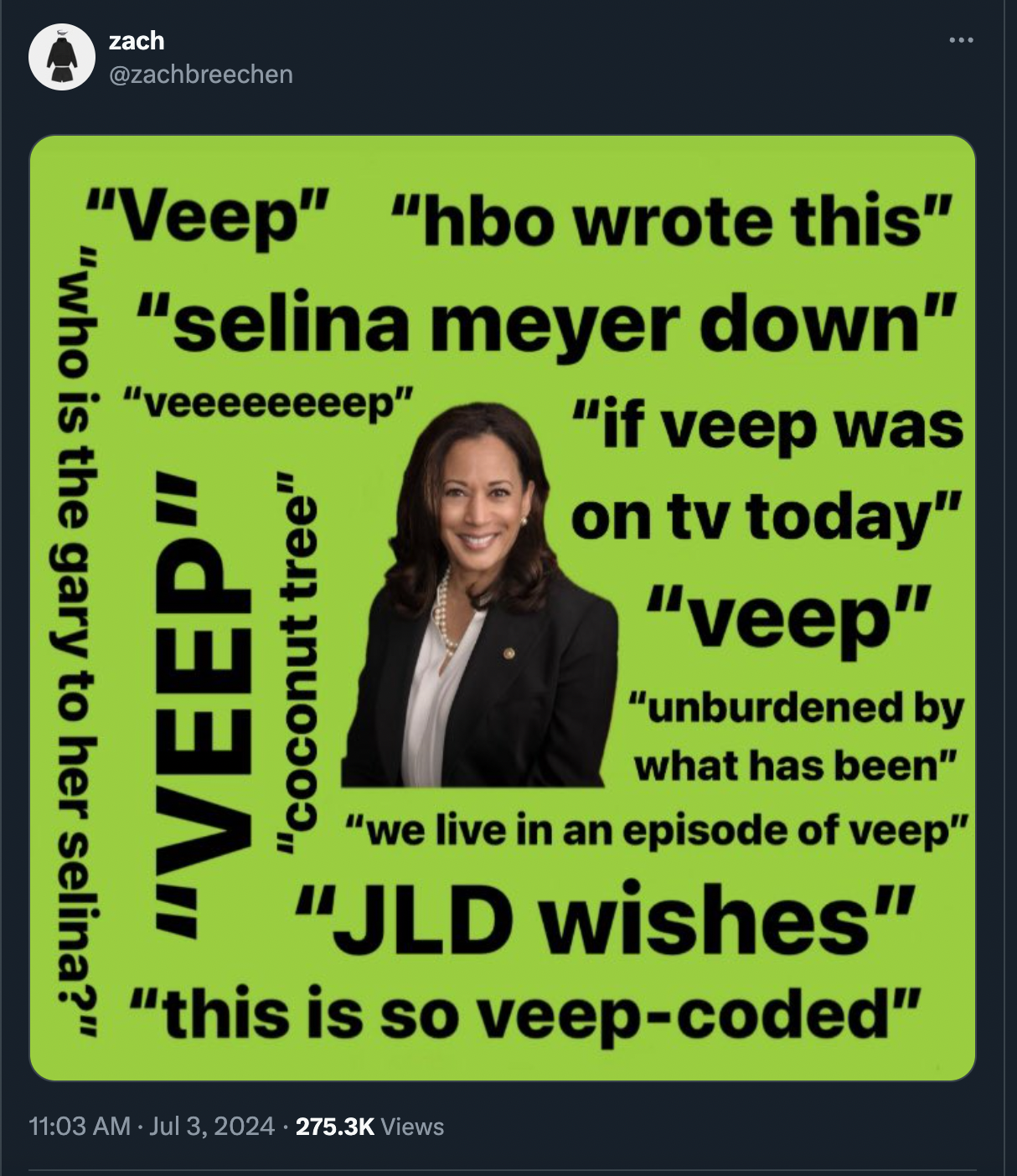 poster - zach "who is the gary to her selina?" "Veep" "hbo wrote this" "selina meyer down" "veeeeeeeep" "Veep" "coconut tree" "if veep was on tv today" "veep" "unburdened by what has been" "we live in an episode of veep" "Jld wishes" "this is so veepcoded